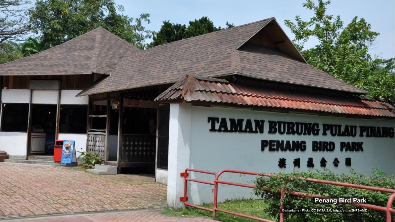 Zen Rooms Eden Parade Tanjung Bungah  Εξωτερικό φωτογραφία